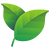 Renewable & Green Energy