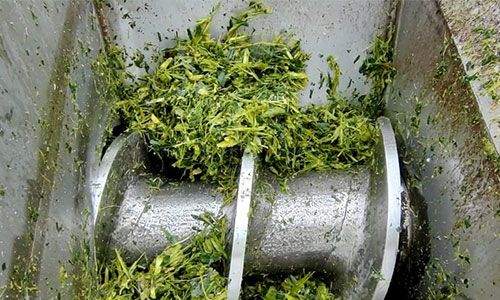 Dewatering