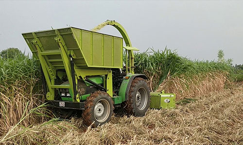 Harvesting